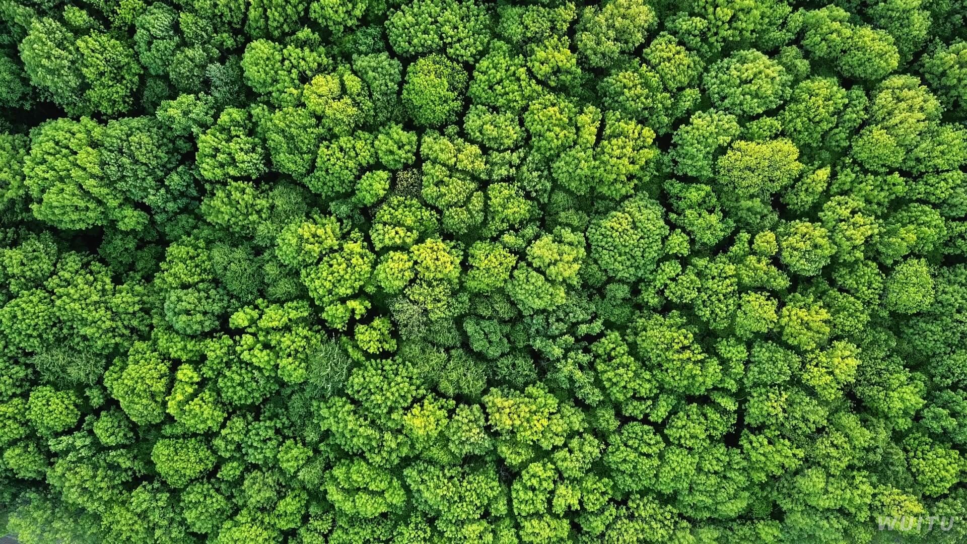 光伏屋顶与绿电认证场景