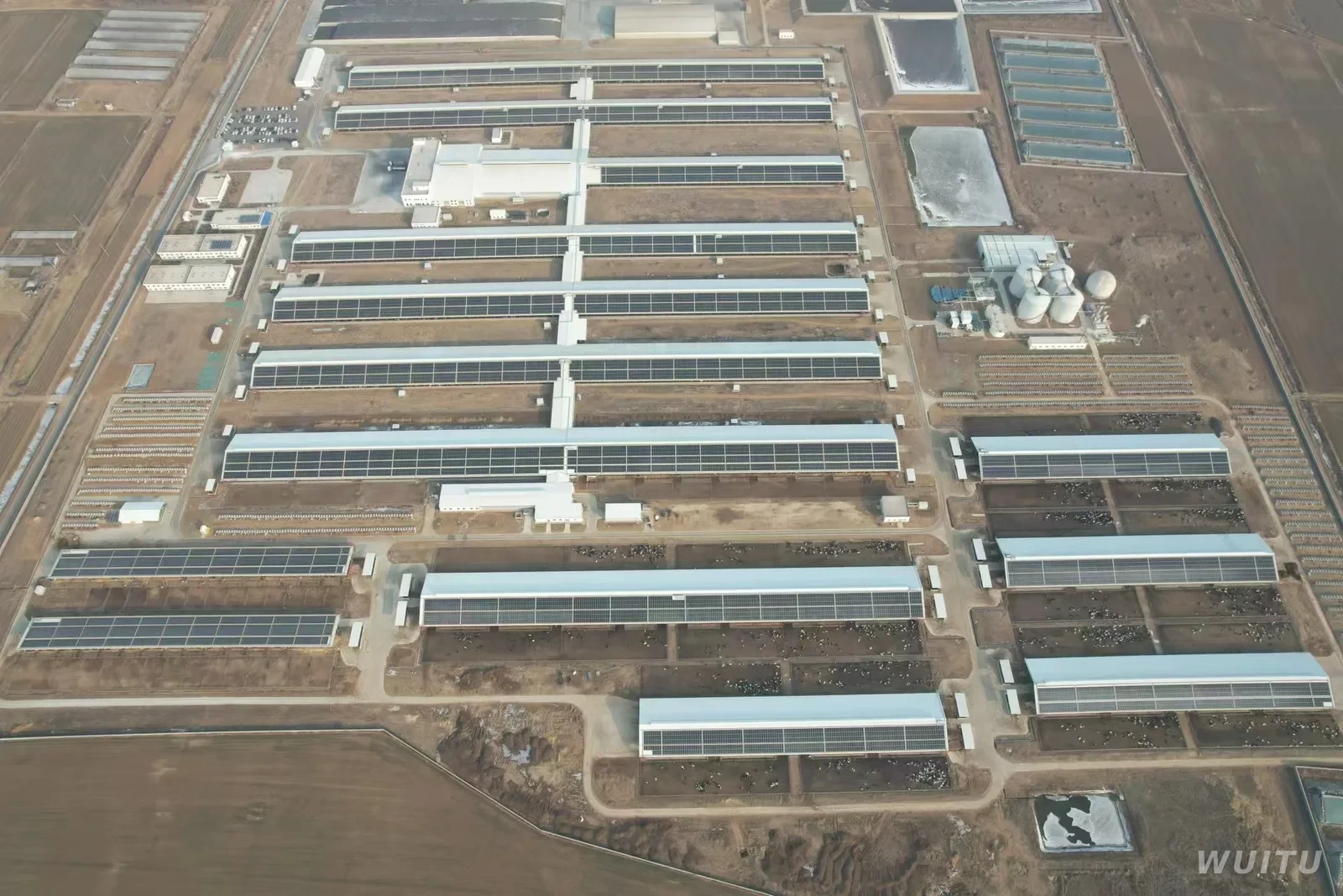 A large-scale dairy ranch